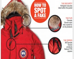 Canada Goose Sues Sears Over 'Trademark Infringement'