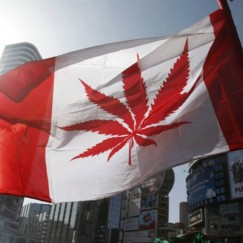 Canada's Push for Pot